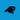 Carolina Panthers Merchandise And Clothing