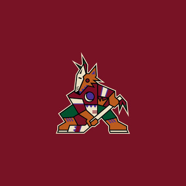 Arizona Coyotes Official Jerseys & Clothing