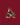 Arizona Coyotes Beanies