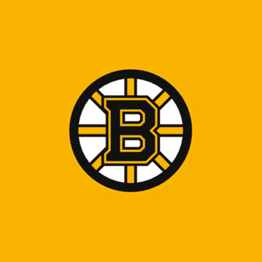 Boston Bruins Caps