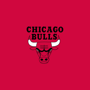 Official Chicago Bulls Merch