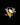 Pittsburgh Penguins Caps