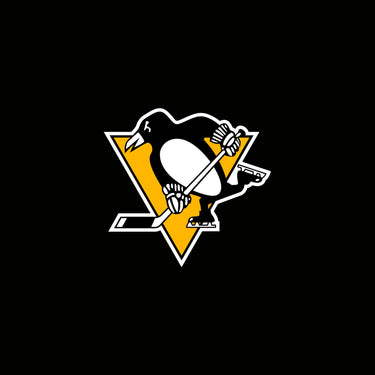 Pittsburgh Penguins Caps