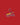 St. Louis Cardinals Merchandise And Clothing