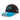 Carolina Panthers The League Black 9FORTY Cap