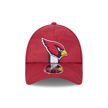 Arizona Cardinals 2024 NFL Sideline 9Forty Stretch Fit Snapback Cap