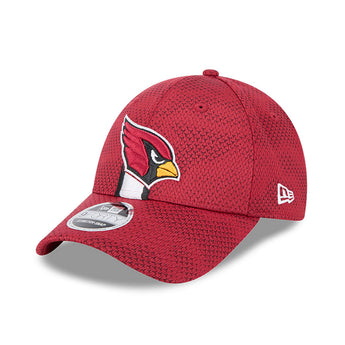 Arizona Cardinals 2024 NFL Sideline 9Forty Stretch Fit Snapback Cap