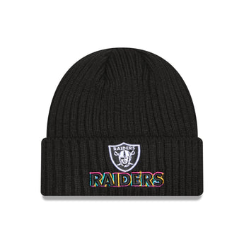 Las Vegas Raiders 2024 Crucial Catch Tech Knit