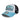 Summer 9FORTY A-Frame Trucker Cap