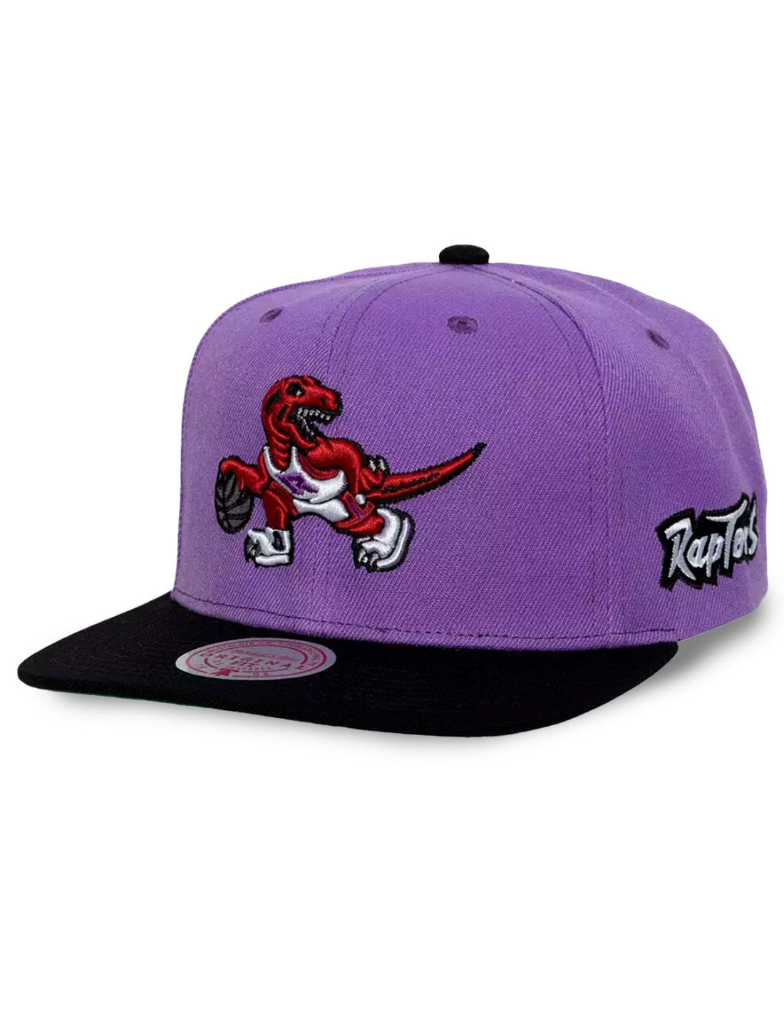 00 Raptors Back Toronto Raptors Team Origins Snapback – USA Sports