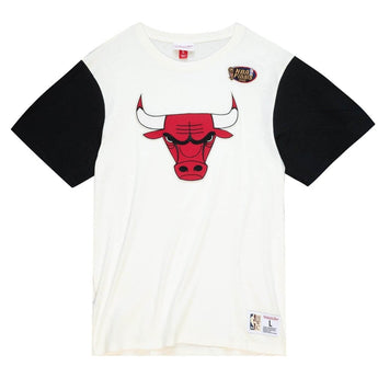 Chicago Bulls Colour Blocked T-Shirt